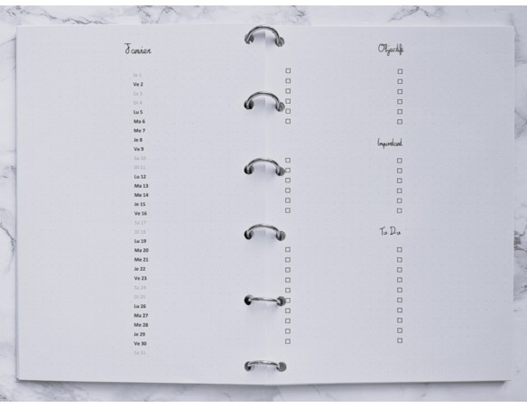 Agenda Vertical & bilan mensuel - Bujo