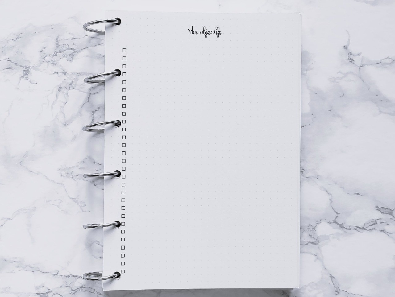 Mes objectifs & bonnes résolutions - Bujo