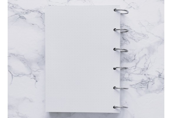 Agenda Classique & bilan mensuel - Bujo