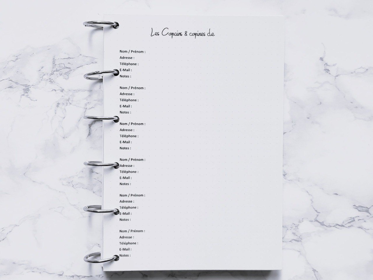 Les Copains & copines de (Répertoire) - Bujo