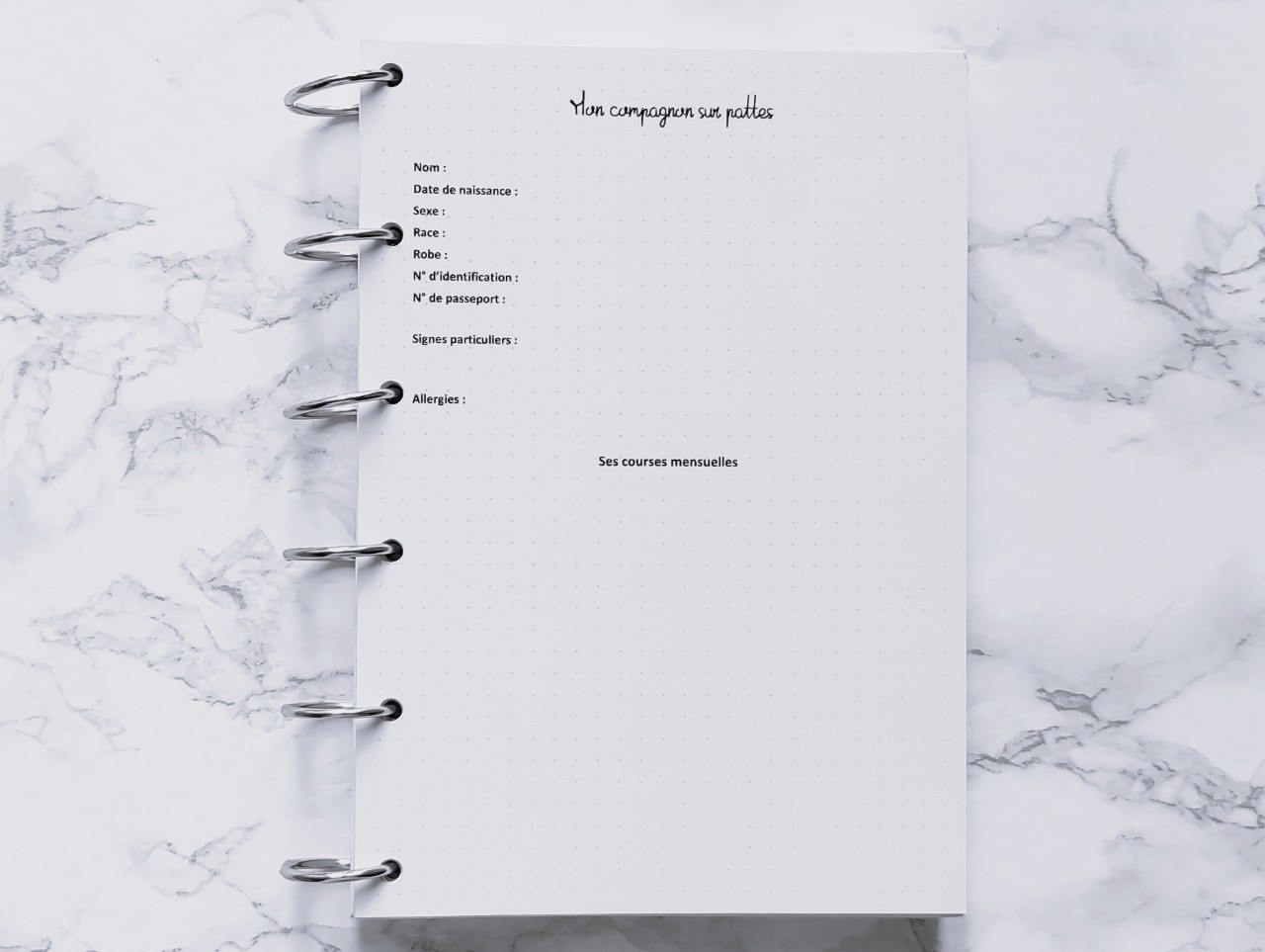 Mon Compagnon sur pattes - Bujo