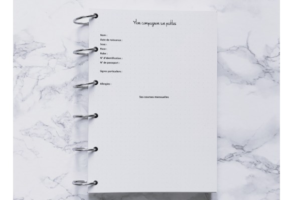 Mon Compagnon sur pattes - Bujo