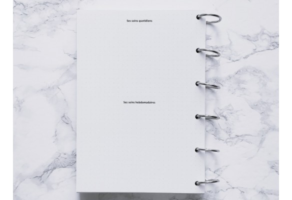 Mon Compagnon sur pattes - Bujo