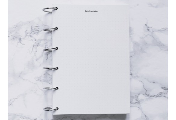 Mon Compagnon sur pattes - Bujo