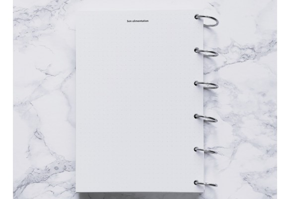 Mon Compagnon sur pattes - Bujo