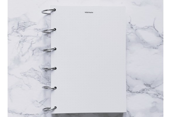 Mon Compagnon sur pattes - Bujo
