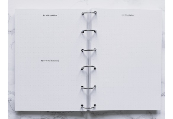 Mon Compagnon sur pattes - Bujo