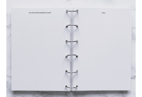 Mon Compagnon sur pattes - Bujo