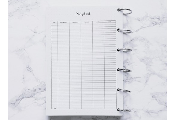 Budget prévisionnel et réel - Bujo