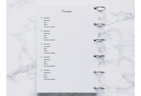 J’économise - Bujo