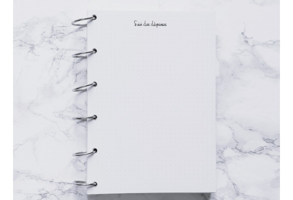 Suivi des dépenses - Bujo