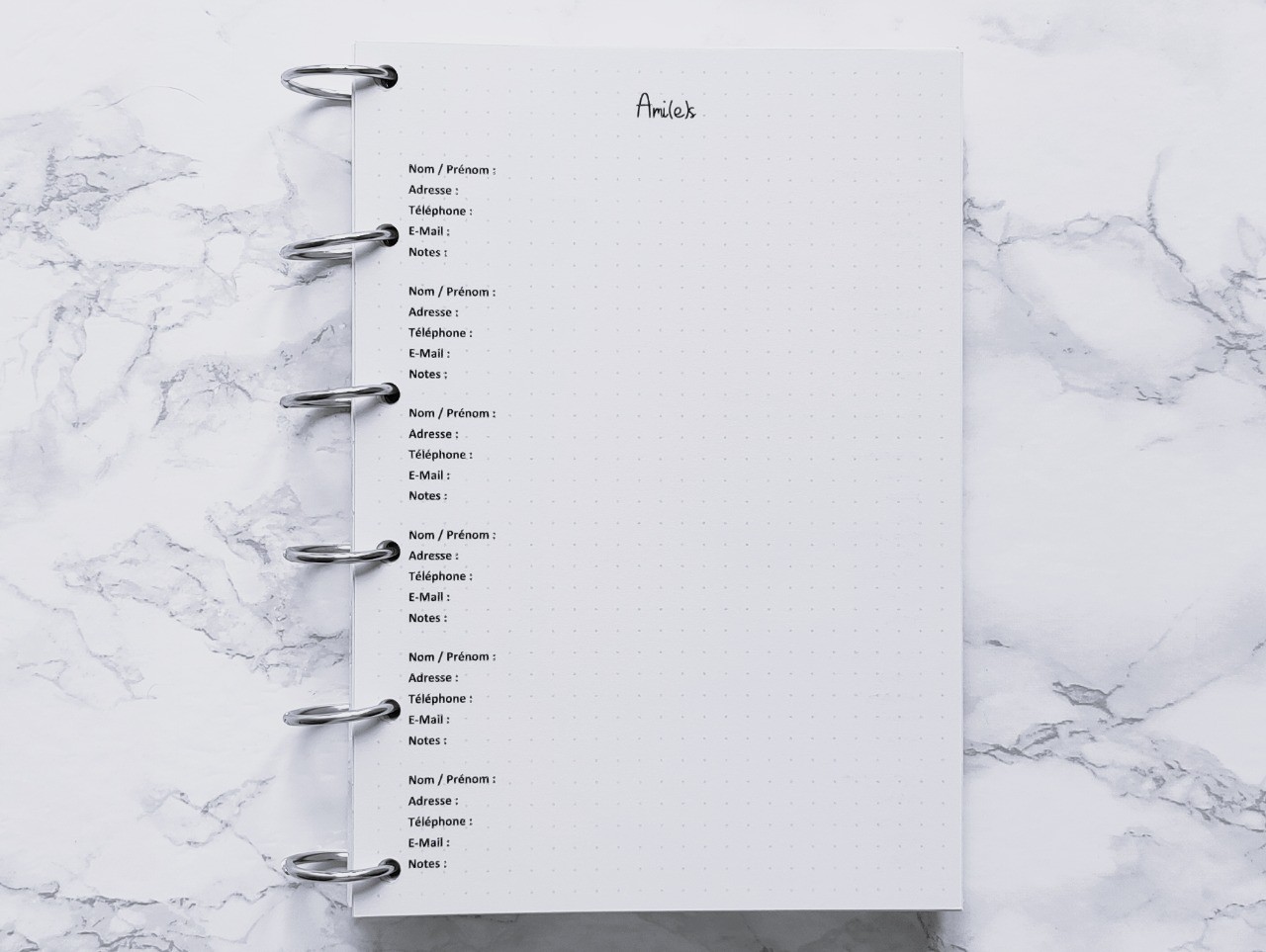 Ami(e)s (Répertoire) - Bujo