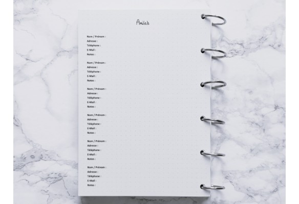 Ami(e)s (Répertoire) - Bujo