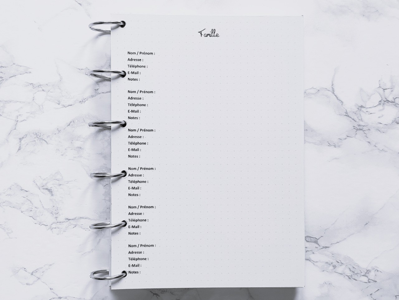 Famille (Répertoire) - Bujo