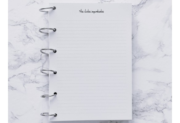 Bilan des 12 mois - A6