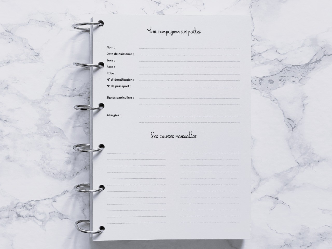 Mon Compagnon sur pattes - A6