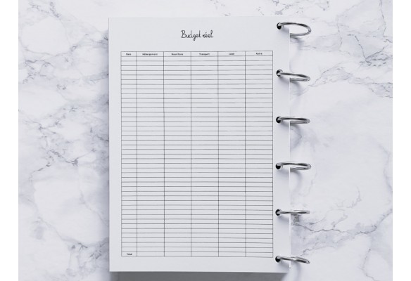 Budget prévisionnel & réel - A5