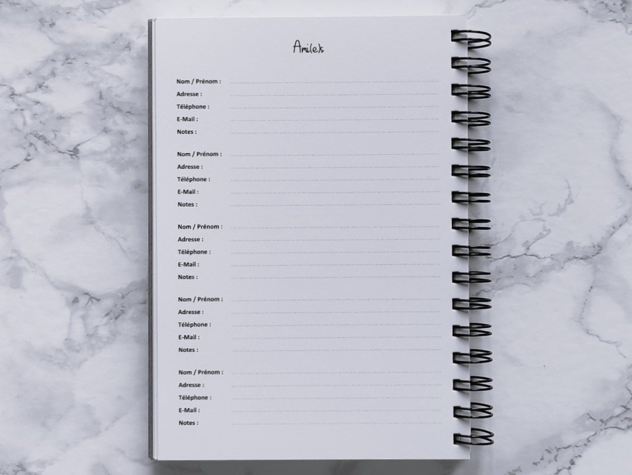 Carnet L'Essentiel - Vie pratique