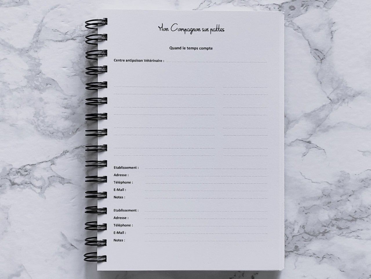 Carnet L'Essentiel - Vie pratique