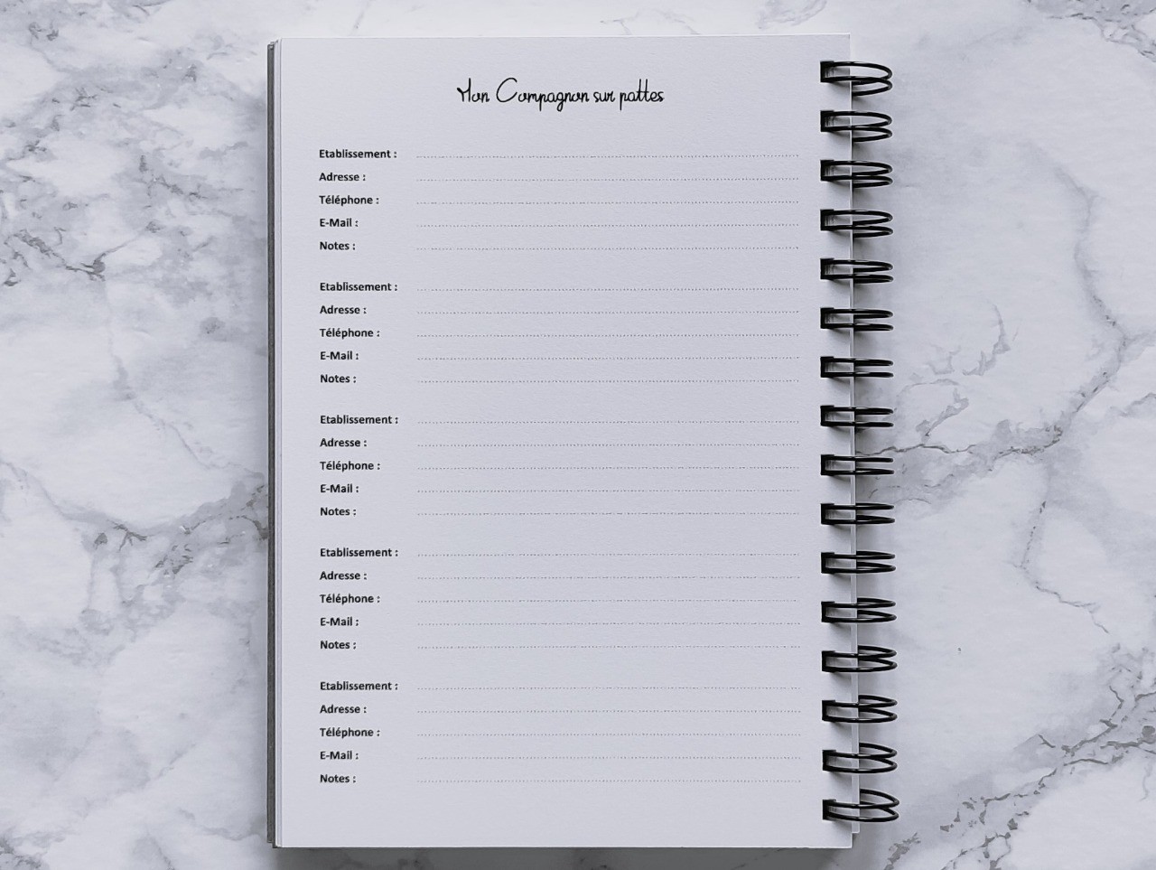 Carnet L'Essentiel - Vie pratique