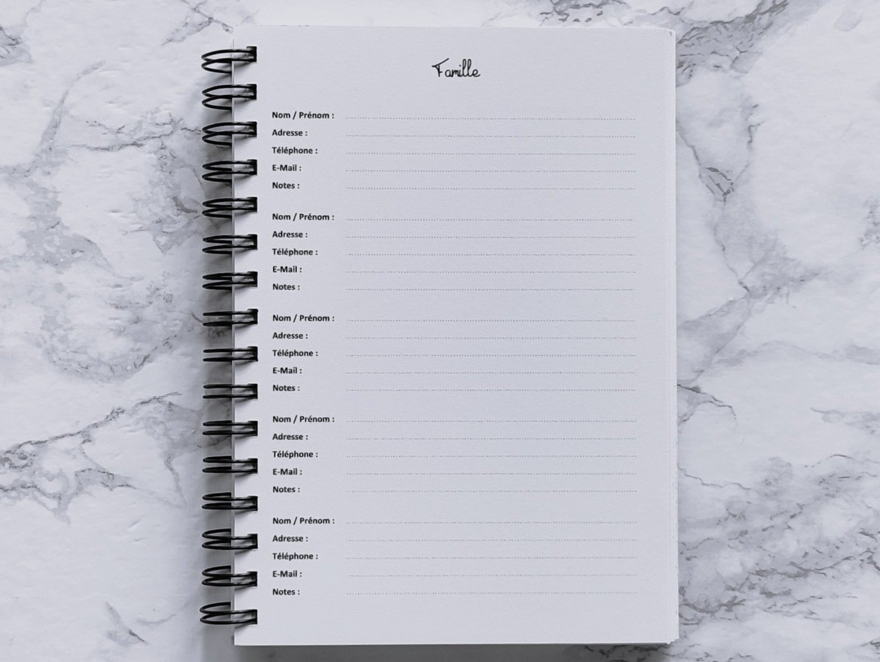 Carnet L'Essentiel - Vie pratique