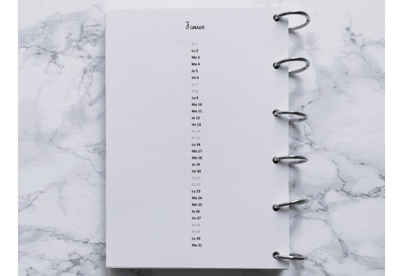 Agenda Vertical & bilan mensuel - Bujo