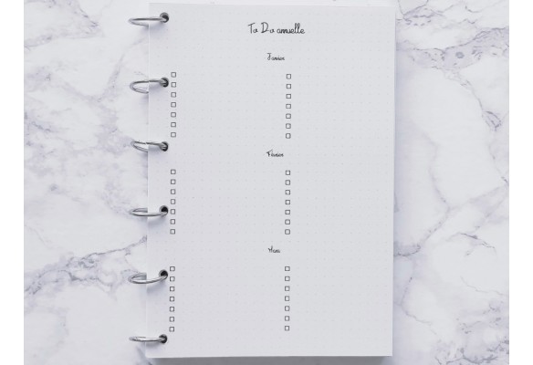To Do sur 12 mois - Bujo