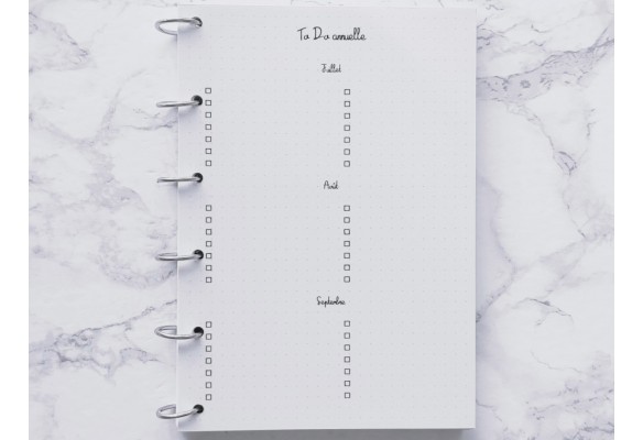 To Do sur 12 mois - Bujo