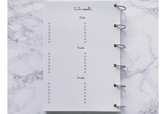 To Do sur 12 mois - Bujo