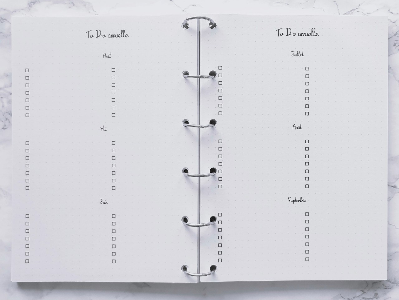 To Do sur 12 mois - Bujo