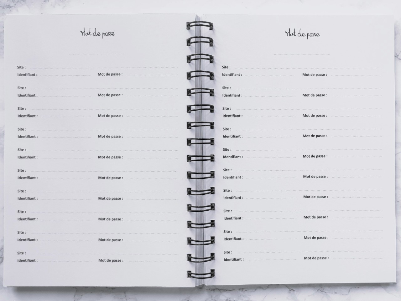 Carnet Mot de passe à titrer - Vie pratique