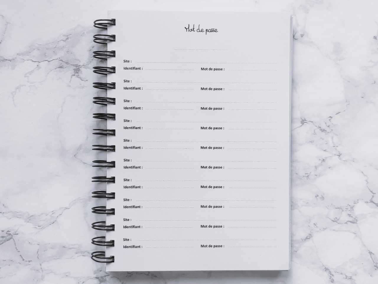Carnet Mot de passe à titrer - Vie pratique