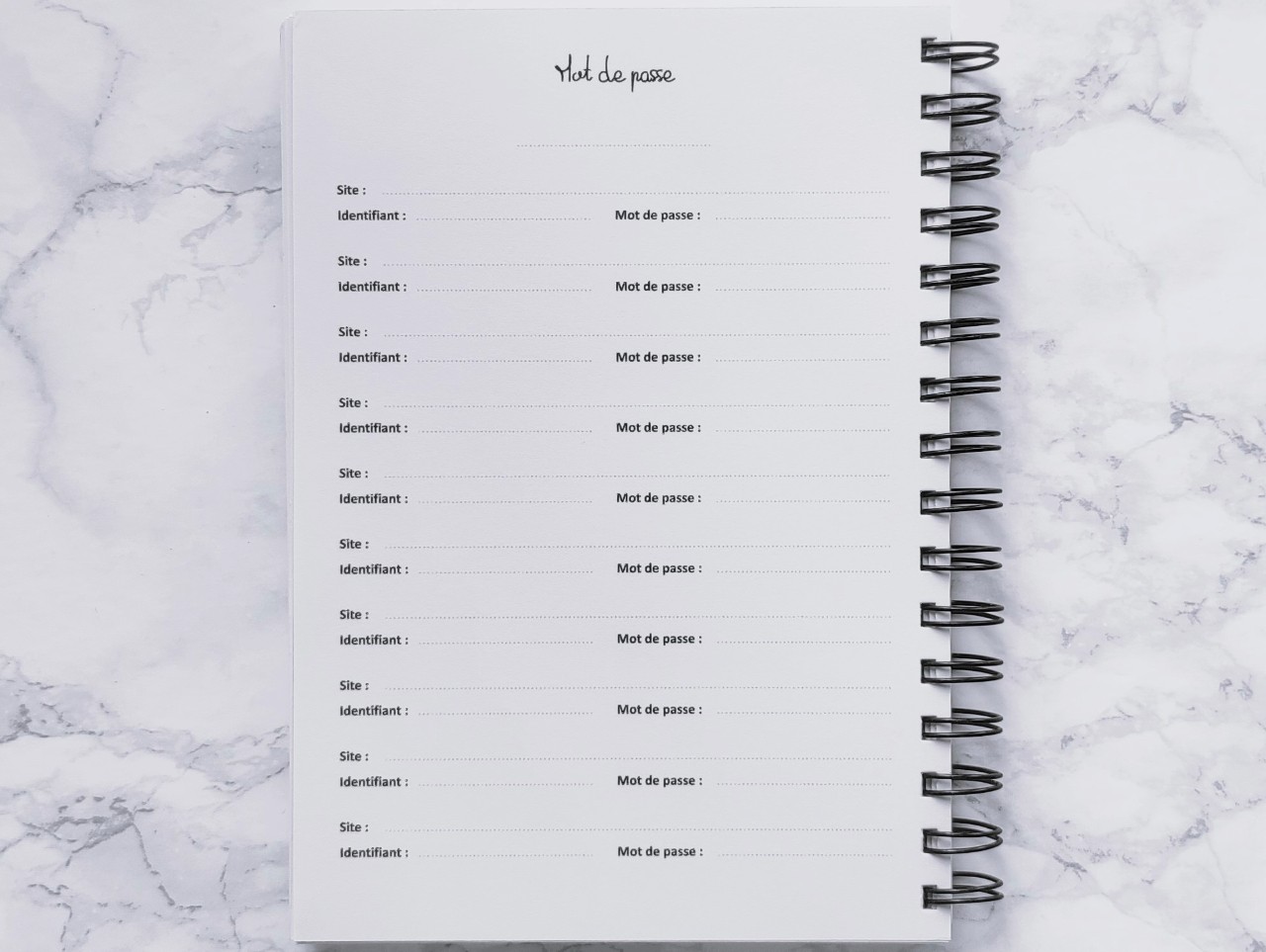 Carnet Mot de passe à titrer - Vie pratique