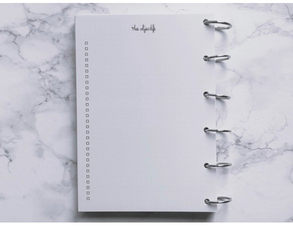 Mes objectifs de l'année - Bujo